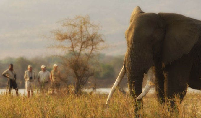 Zambezi National Park Game Walk - Zimbabwe