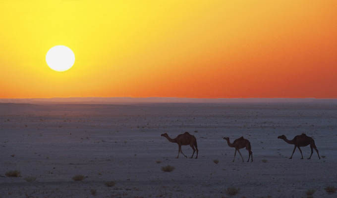Wahiba sands at sunset - Oman