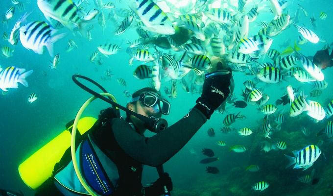 Palawan, Diving - Philippines