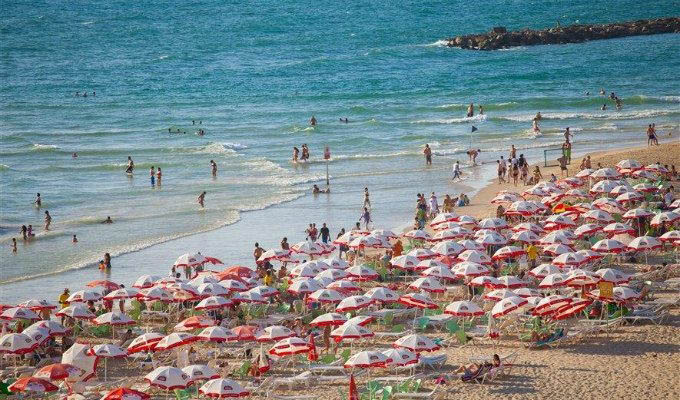 Umbreallas on the beach - Tel Aviv