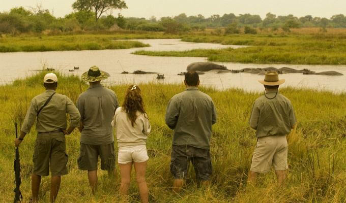 Walking Safari in The Mana Pools National Park - Zimbabwe