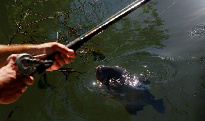 Puerto Valle Hotel de Esteros, Fishing in Rio Paraná - Argentina