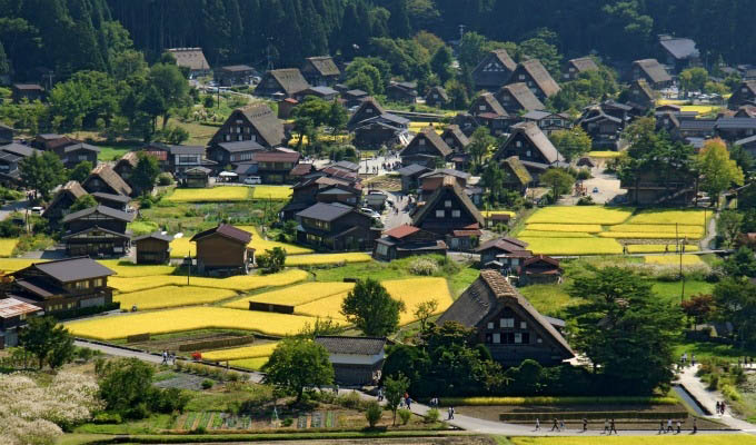 Japan - Shirakawago village