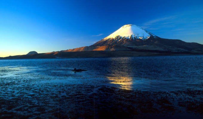 Atacama Desert: Parinacota Volcano & Lake Chungarà - Chile