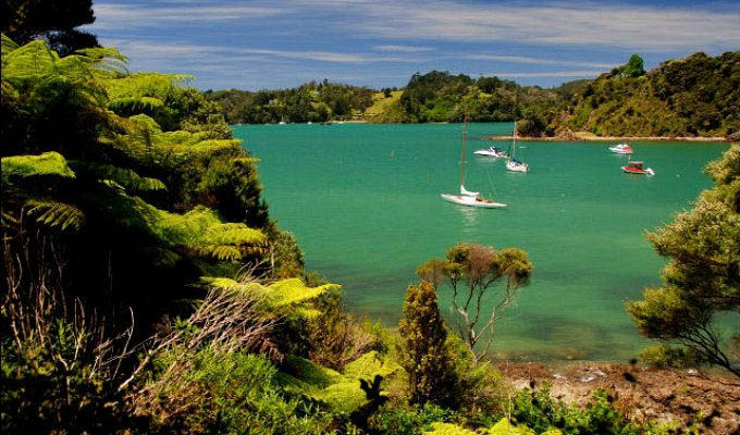 Bay of Islands - New Zealand