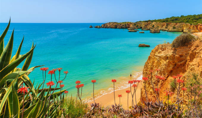 Tropical flowers on beautiful Praia da Rocha beach, Algarve region © Pawel Kazmierczak/Shutterstock - Portugal