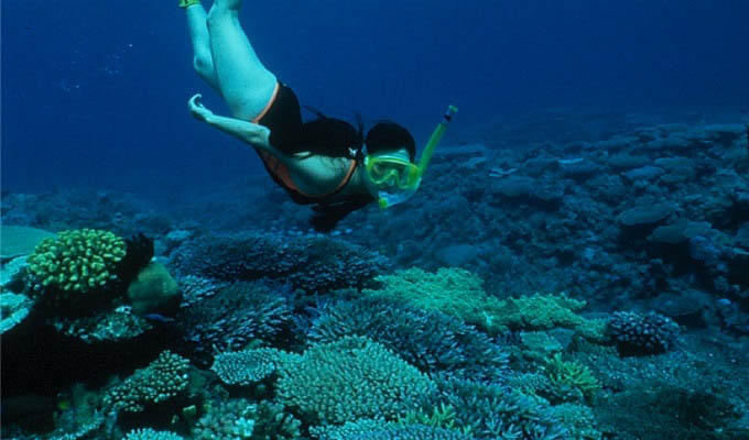 Okinawa, Snorkeling in the Crystal Waters - Japan