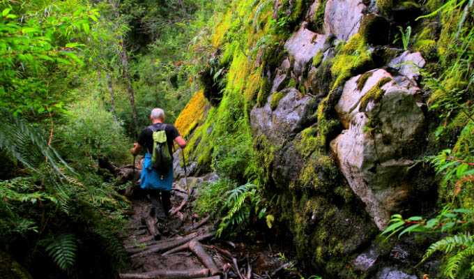 Wild trekking in Puyuhuapi - Puyuhuapi Lodge & Spa
