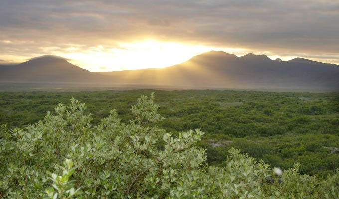 Thingvellir National Park at Sunset - Courtesy of Iceland Travel - Iceland