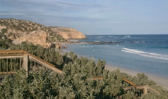 South Australia, Kangaroo Island, Seal Bay - Australia