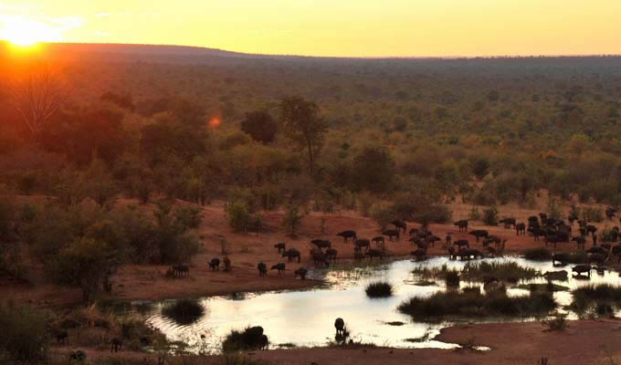 View of waterhole from the Victoria Falls Safari Lodge - Zimbabwe