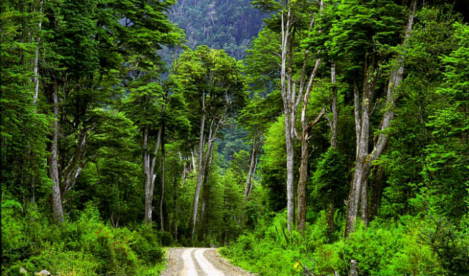 Carretera Austral - Puyuhuapi Lodge & Spa