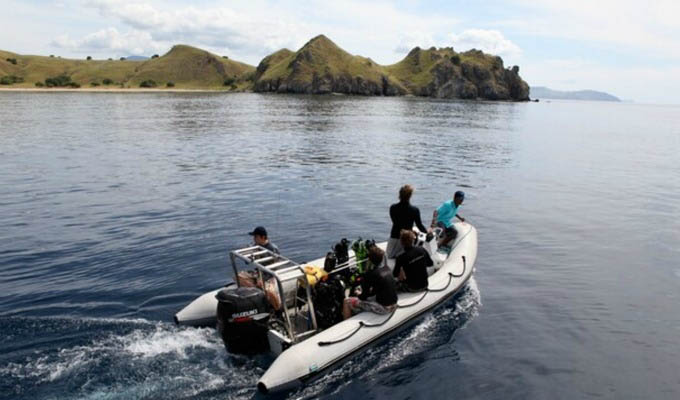 Tiger Blue, Tender Boat Excursion - Indonesia