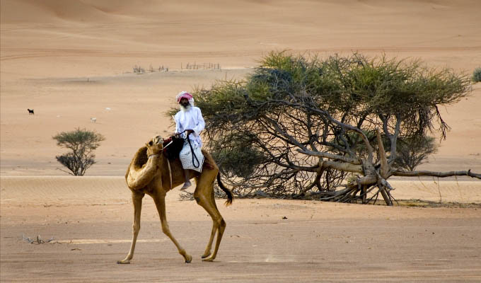 Oman - Wahiba Sands desert