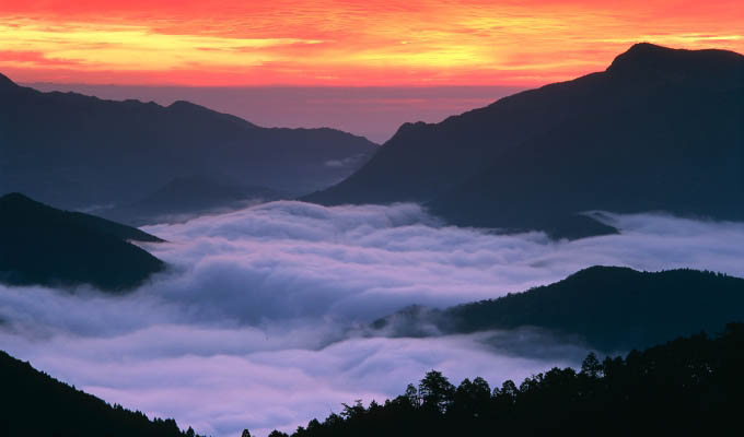 Japan - A field of clouds, Kumano