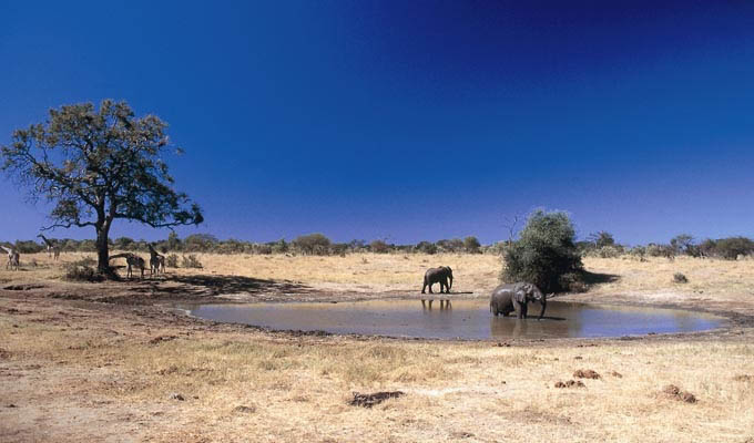 Hwange National Park - Zimbabwe