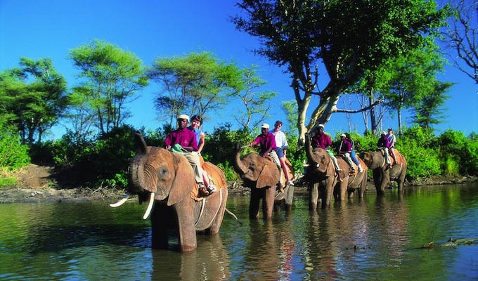 Victoria Falls, elephant back ride - Zimbabwe