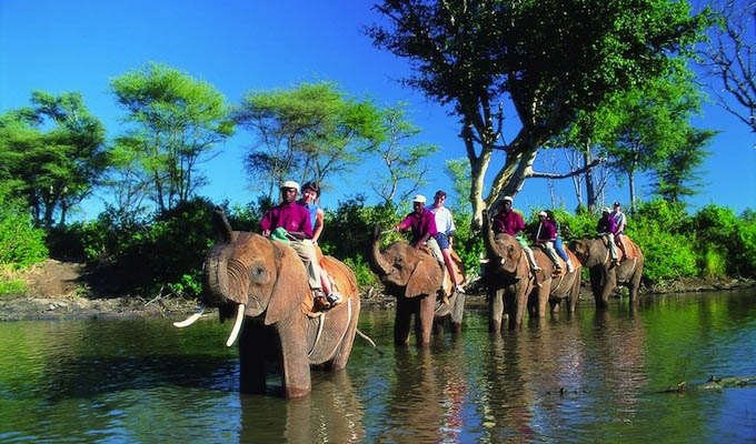 Victoria Falls, elephant back ride - Zimbabwe