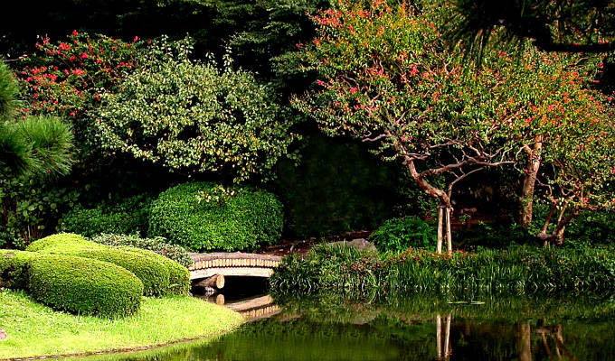 Tokyo - Imperial Palace Garden - Japan