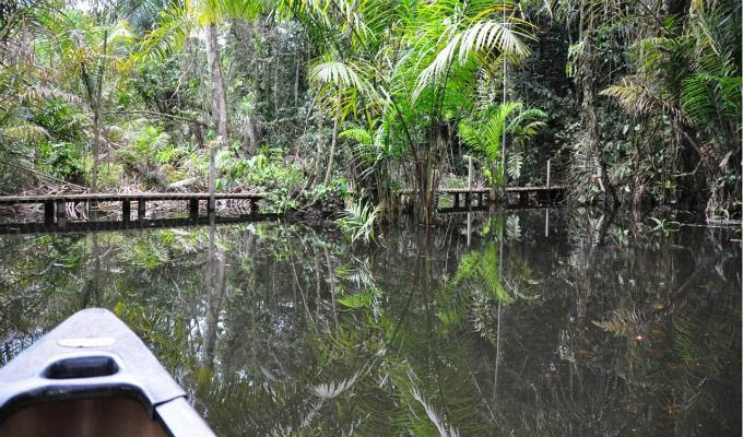 Navigating along Rio San Carlos - Costa Rica