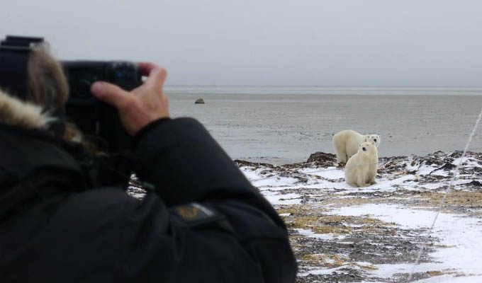 Arctic - Photographer with polar bear
