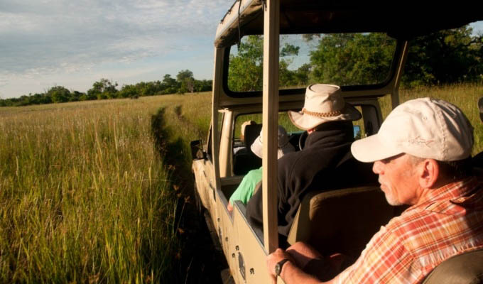 Land cruiser view - South Africa