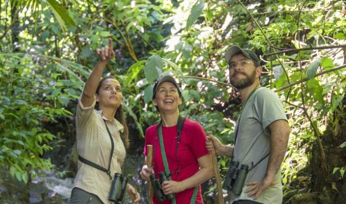 Guided Nature Tour in The Lapa Rios Private Reserve - Costa Rica