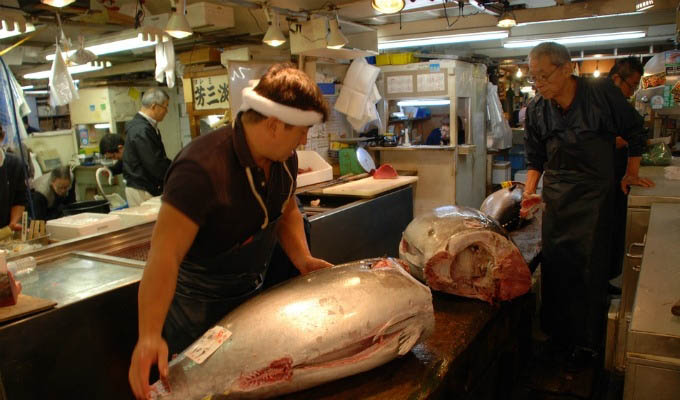 Tokyo, Tsukiji Fish Market - Japan