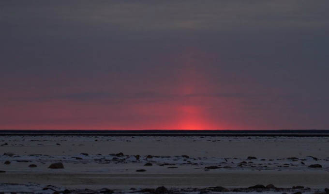 Arctic - Canadian tundra sunset