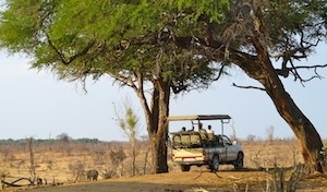 Comunicato Stampa: Botswana e Zimbabwe, 4 nuovi tour