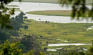 Botswana & Victoria Falls, The Great Explorer
