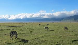 Tanzania, Sky safari & Zanzibar