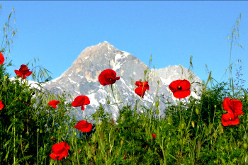 Abruzzo Gran Sasso