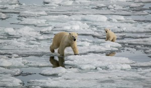 Artico: le tre perle dalle Highlands all'alto Artico