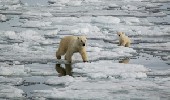 Artico: le tre perle dalle Highlands all'alto Artico