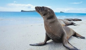 Ecuador: tra Terra, Cielo e Mare