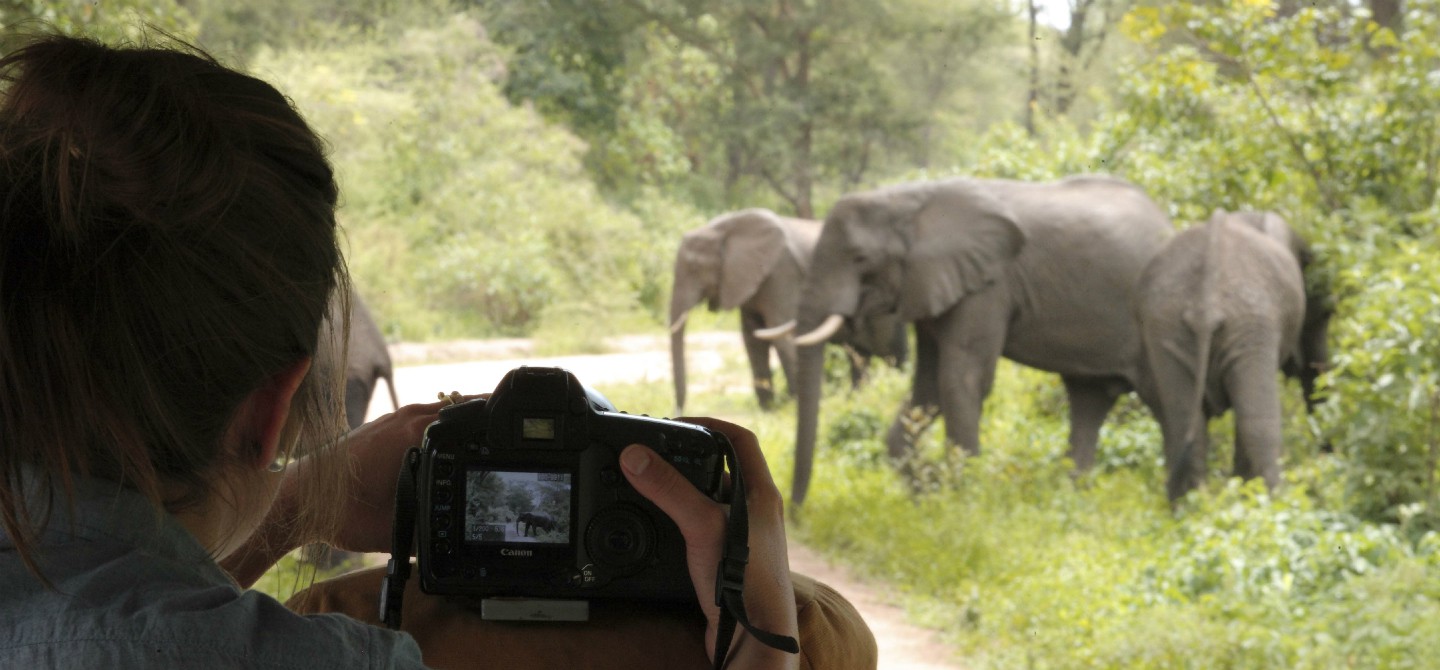 Tanzania: safari nel nord tra parchi e riserve