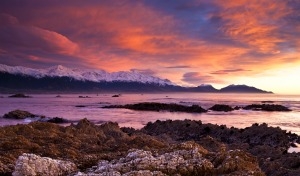 Luna di miele a Kaikoura