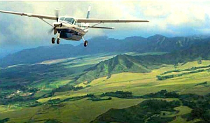 Tanzania Sky Safari