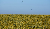 Le Gemme di Israele