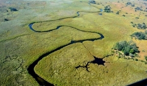 Botswana, smeraldo d'acqua