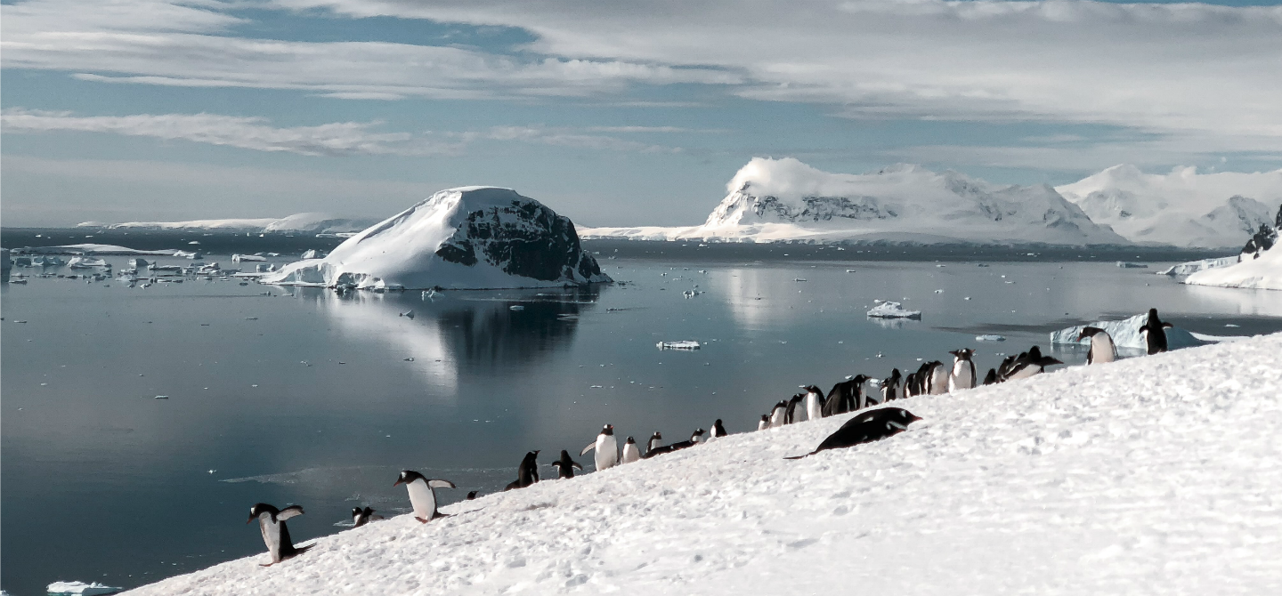 Antarctic Explorer: alla scoperta del settimo continente