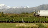 Back to the Wine Future