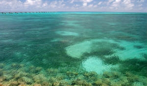 Mare a Okinawa: Miyakojima