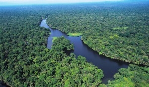 Costa Rica Green Magic