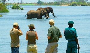 Sud Malawi: safari e foreste