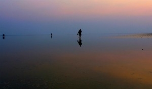 Botswana: Desert & Delta