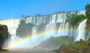 Wildlife of Argentina