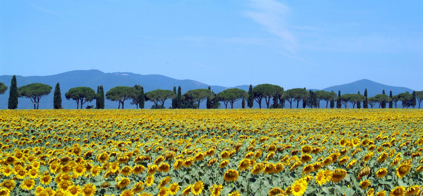 Locanda Rossa